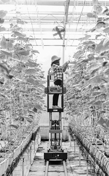 “十八連豐”背后的科技底氣