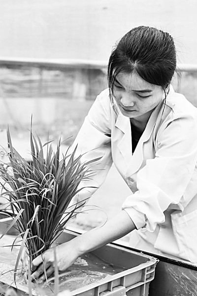 “十八連豐”背后的科技底氣