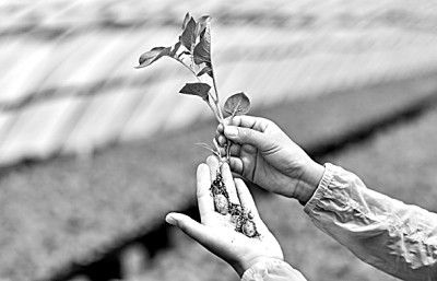 “十八連豐”背后的科技底氣