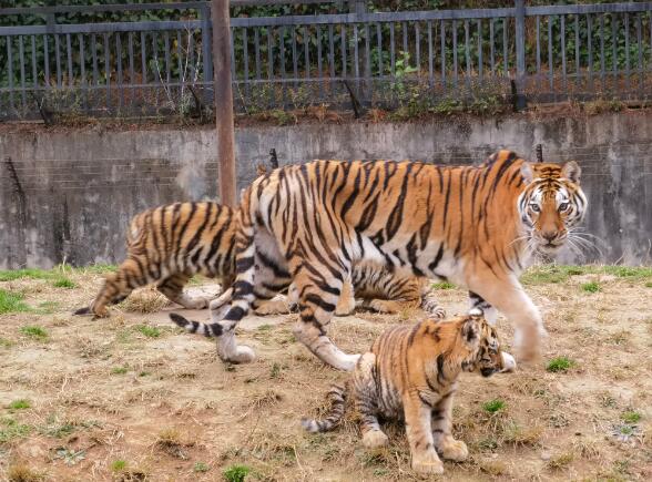 QQ截圖20220113211019.jpg QQ截圖20220113211019.jpg