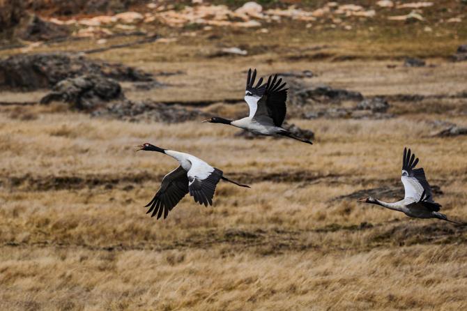 微信圖片_20220114165036 微信圖片_20220114165036