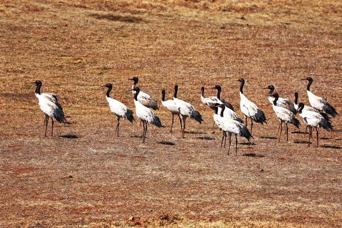 微信圖片_20220114165058 微信圖片_20220114165058