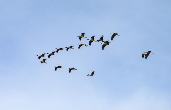 微信圖片_20220114165122 微信圖片_20220114165122