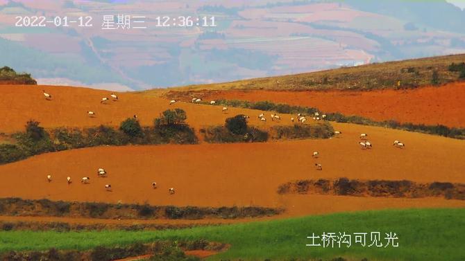 微信圖片_20220114165154 微信圖片_20220114165154