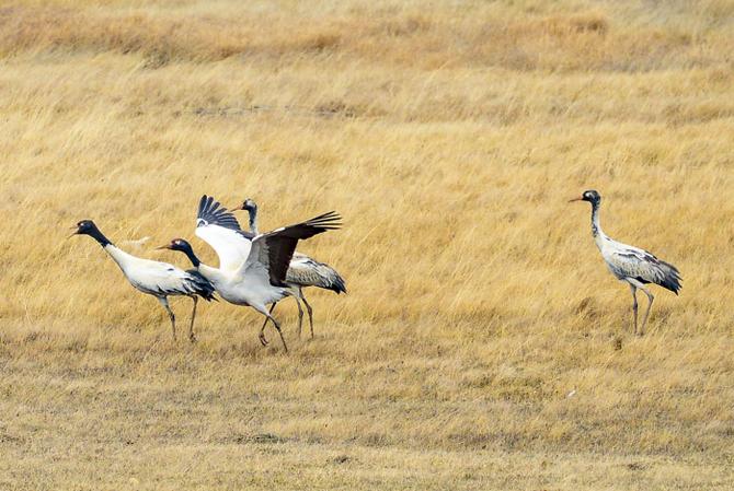 微信圖片_20220114165217 微信圖片_20220114165217