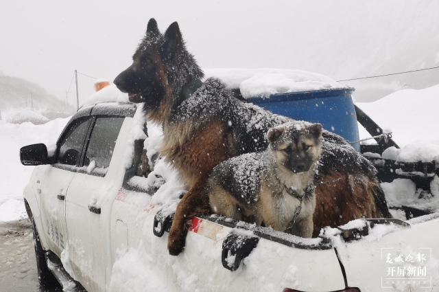 660天94批376人，這群戍邊人終于“被迫”下山了（張勇 通訊員 代超 攝）
