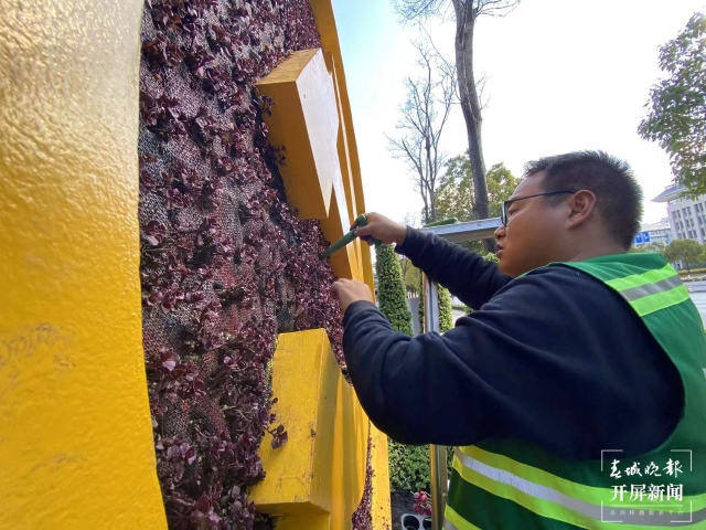 昆明多個(gè)立體花壇集體“換冬裝”(開(kāi)屏新聞?dòng)浾?孫琴霞 攝)