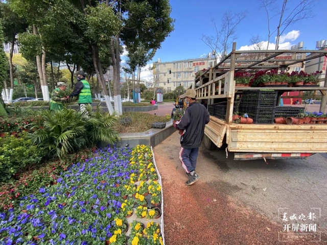 昆明多個(gè)立體花壇集體“換冬裝”(開(kāi)屏新聞?dòng)浾?孫琴霞 攝)