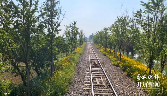 小火車經(jīng)過附近的田園-劉暢 攝.jpg