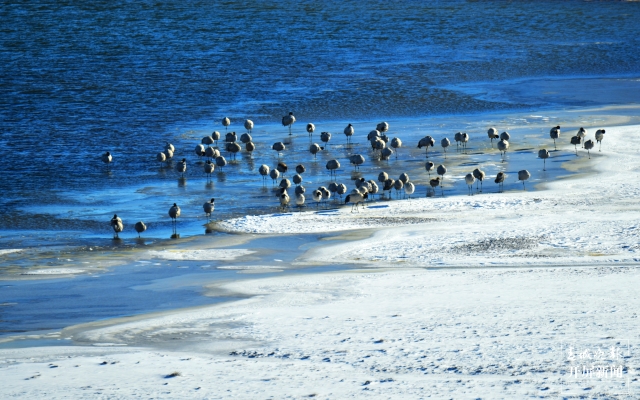 昭通大山包（開屏新聞記者 申時勛 通訊員 鄭遠見 趙子蛟 吳太平 陳光惠 攝）