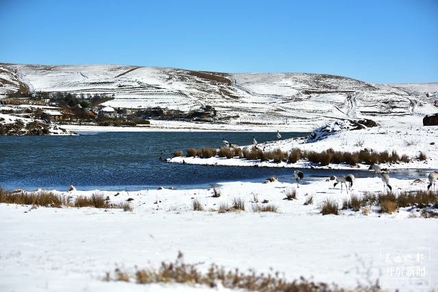 昭通大山包（開屏新聞記者 申時勛 通訊員 鄭遠見 趙子蛟 吳太平 陳光惠 攝）