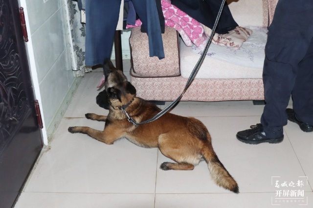 繳毒220.5克，一歲半的“江勛”立功了（通訊員 母賽昌、梁帆 攝）