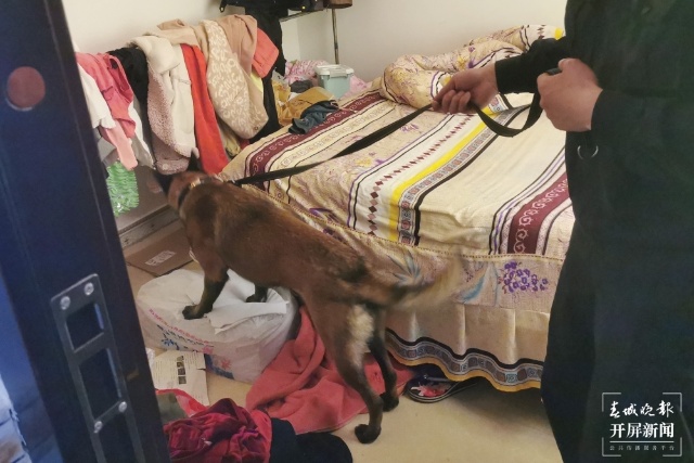 繳毒220.5克，一歲半的“江勛”立功了（通訊員 母賽昌、梁帆 攝）