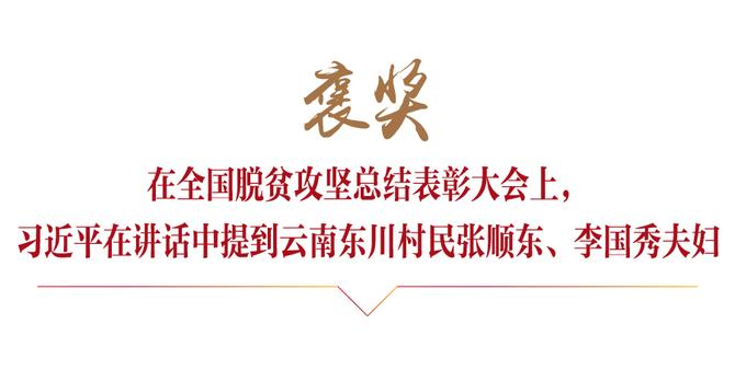 畫板 2 副本 17.jpg