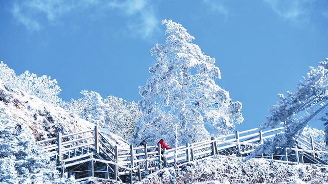 32e1ceab-08df-46f8-810c-827e0fbc4c95 32e1ceab-08df-46f8-810c-827e0fbc4c95