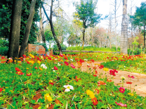 78201642527173253 78201642527173253