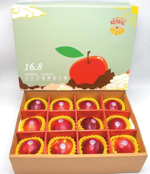 a2ecf245-3f79-49d0-b67c-792db32b300a a2ecf245-3f79-49d0-b67c-792db32b300a