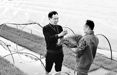 福建深入推進(jìn)科技特派員制度:讓“科技之花”綻放沃野山川 福建深入推進(jìn)科技特派員制度:讓“科技之花”綻放沃野山川