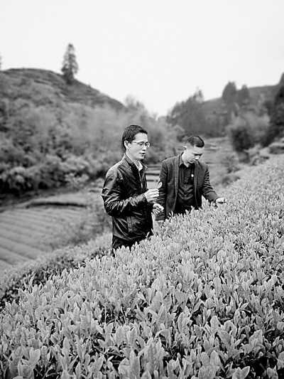 福建深入推進(jìn)科技特派員制度:讓“科技之花”綻放沃野山川 福建深入推進(jìn)科技特派員制度:讓“科技之花”綻放沃野山川