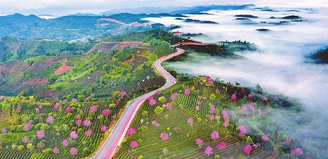 1310427361_16423829694171n 1310427361_16423829694171n