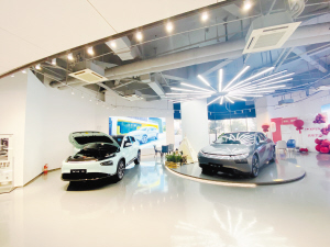 49941642614534448 49941642614534448