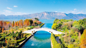 滇池星海半島生態(tài)濕地風景更加美麗。 記者周密攝