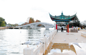 　一座三孔拱橋連接大觀公園南北兩園。記者楊艷輝攝