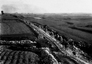 走出昆明的馬幫。