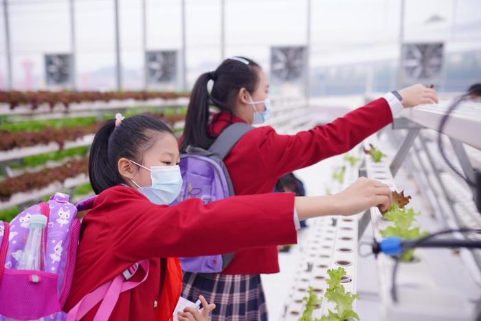 1128275014_16424982678751n 1128275014_16424982678751n