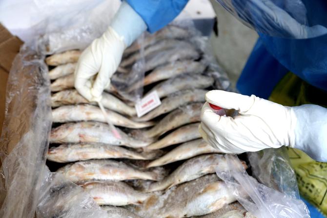 8509a5031a37447ba55387ffb66a9aff