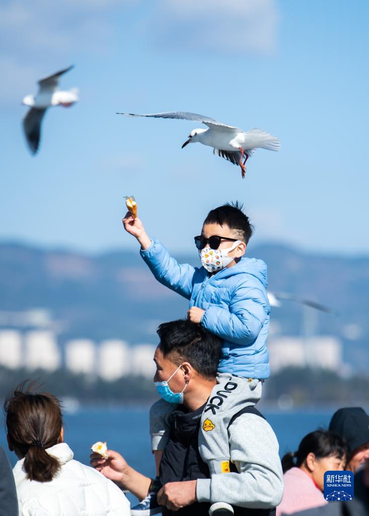 1310437658_16429850244001n 1310437658_16429850244001n