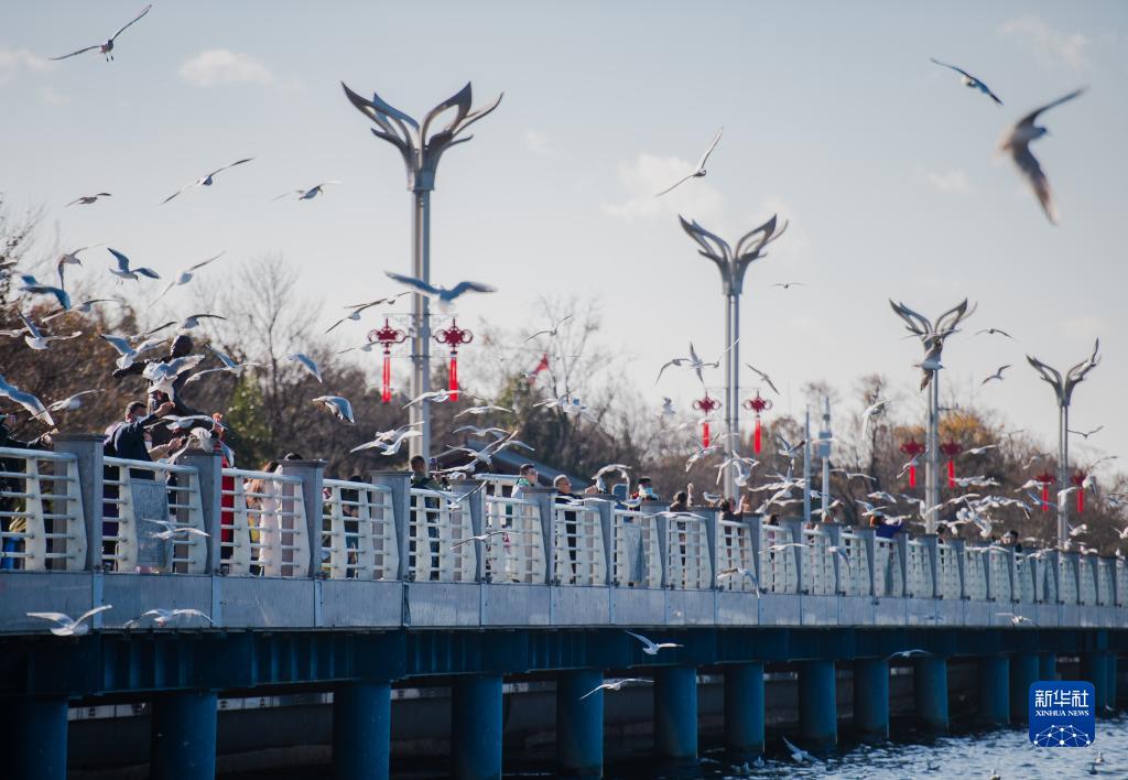 1310437658_16429850249451n 1310437658_16429850249451n