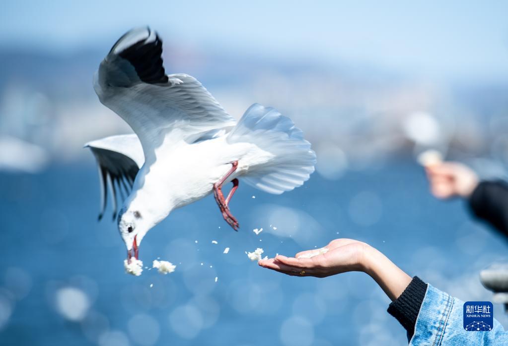 1310437658_16429850251281n 1310437658_16429850251281n