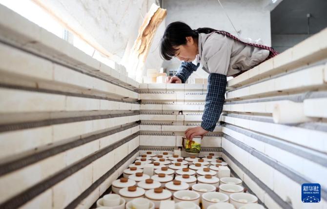 2022012470532538f06b4361815b7dfbba3d0116_915fPWmtnNz4qmpfl1.jpg 2022012470532538f06b4361815b7dfbba3d0116_915fPWmtnNz4qmpfl1.jpg