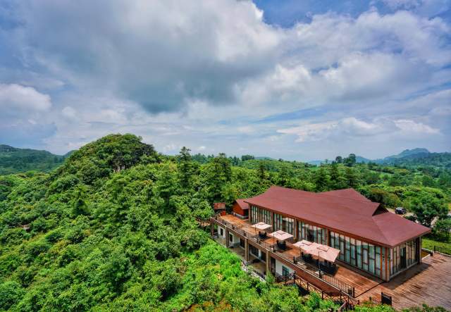 云南全面建成五級林長制(云南省林業(yè)和草原局供圖)