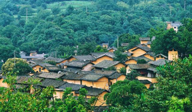 云南全面建成五級林長制(云南省林業(yè)和草原局供圖)