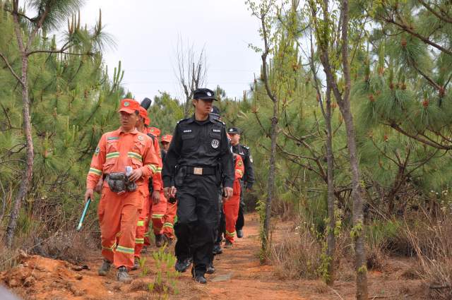 云南全面建成五級林長制(云南省林業(yè)和草原局供圖)