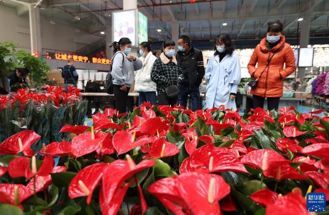 1128296498_16430298867591n 1128296498_16430298867591n