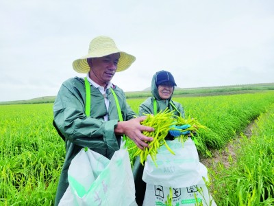 富了鄉(xiāng)親 美了鄉(xiāng)村