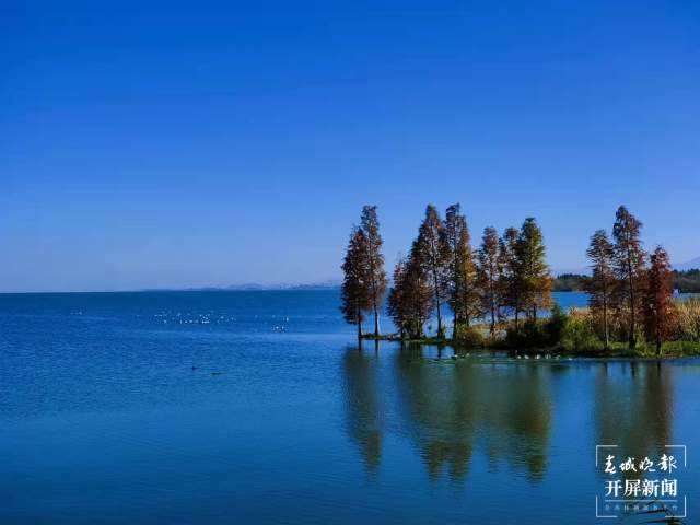 昆明濕地面積62452.53公頃 (4).jpg