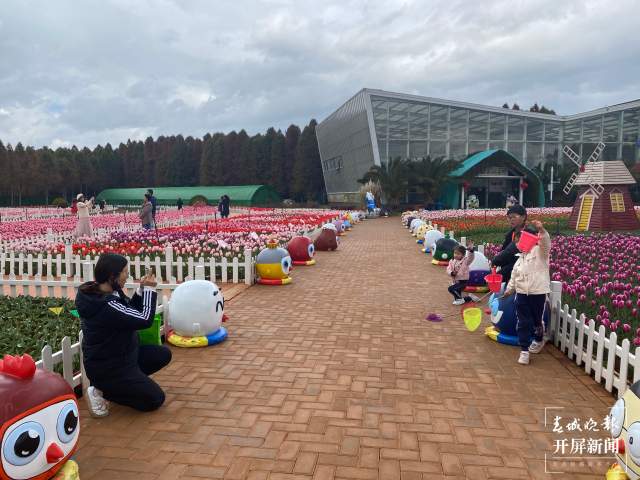 撈漁河公園百萬株郁金香陸續(xù)綻放 (5).jpg