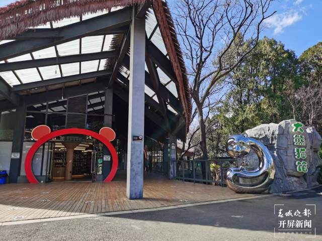 彩繪、假山、沙池……昆明動物園萌寵搬進漂亮舒適“新家” 孫琴霞 通訊員 黃蕊 攝