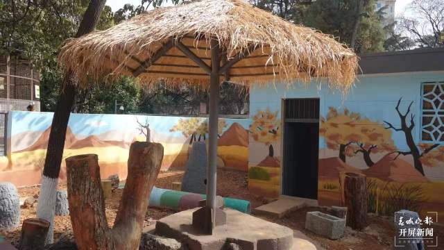 彩繪、假山、沙池……昆明動物園萌寵搬進漂亮舒適“新家” 孫琴霞 通訊員 黃蕊 攝