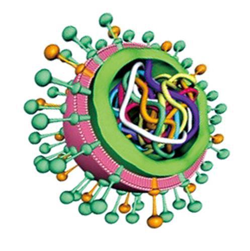 6e45d7c84f9044539185e09dfaca9d49 6e45d7c84f9044539185e09dfaca9d49