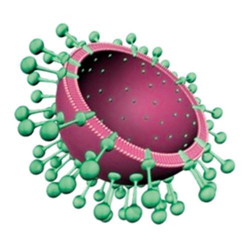 ab383a2fc59d43f7af3e9a4e8466ee5a ab383a2fc59d43f7af3e9a4e8466ee5a