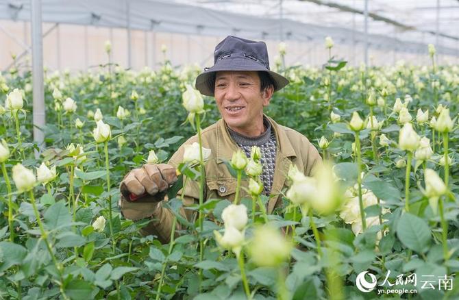 1310441337_16431626493501n