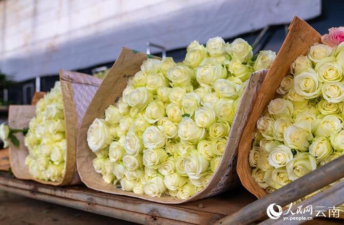 1310441337_16431627070631n