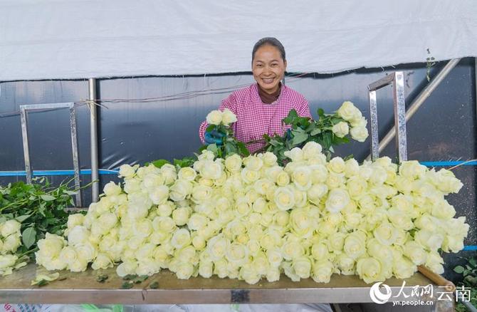 1310441337_16431627185301n