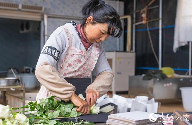 1310441337_16431627315421n