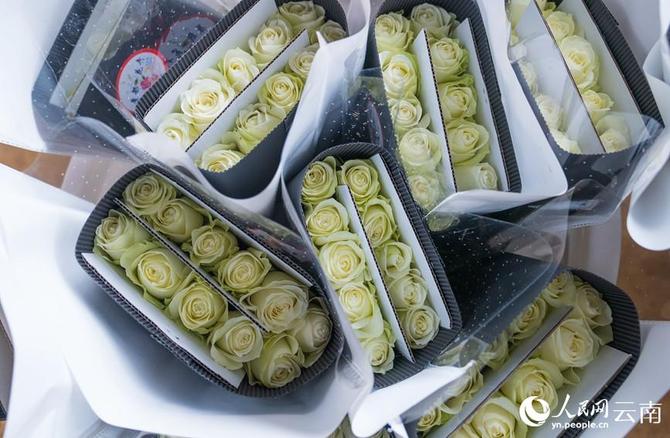 1310441337_16431627413331n